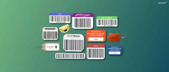 Top Asset Tagging Ideas for Streamlined Inventory Control