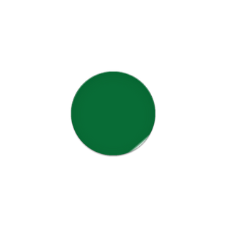 Rigid Shapes Circles Qty 45 Green