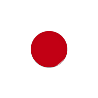 Rigid Shapes Circles Qty 45 Red