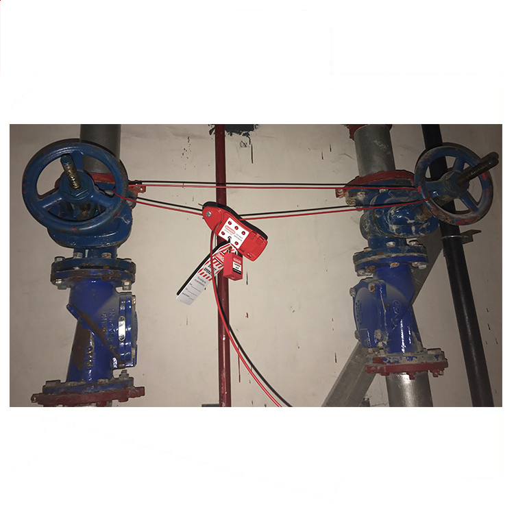 Fish Shaped Cable Lockout application